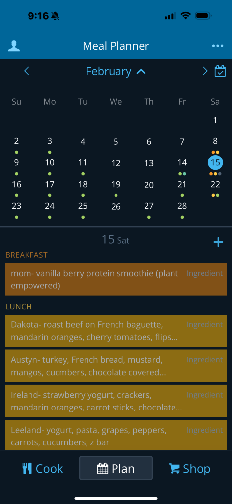 screen shot of Plan To Eat app monthly meal plan 